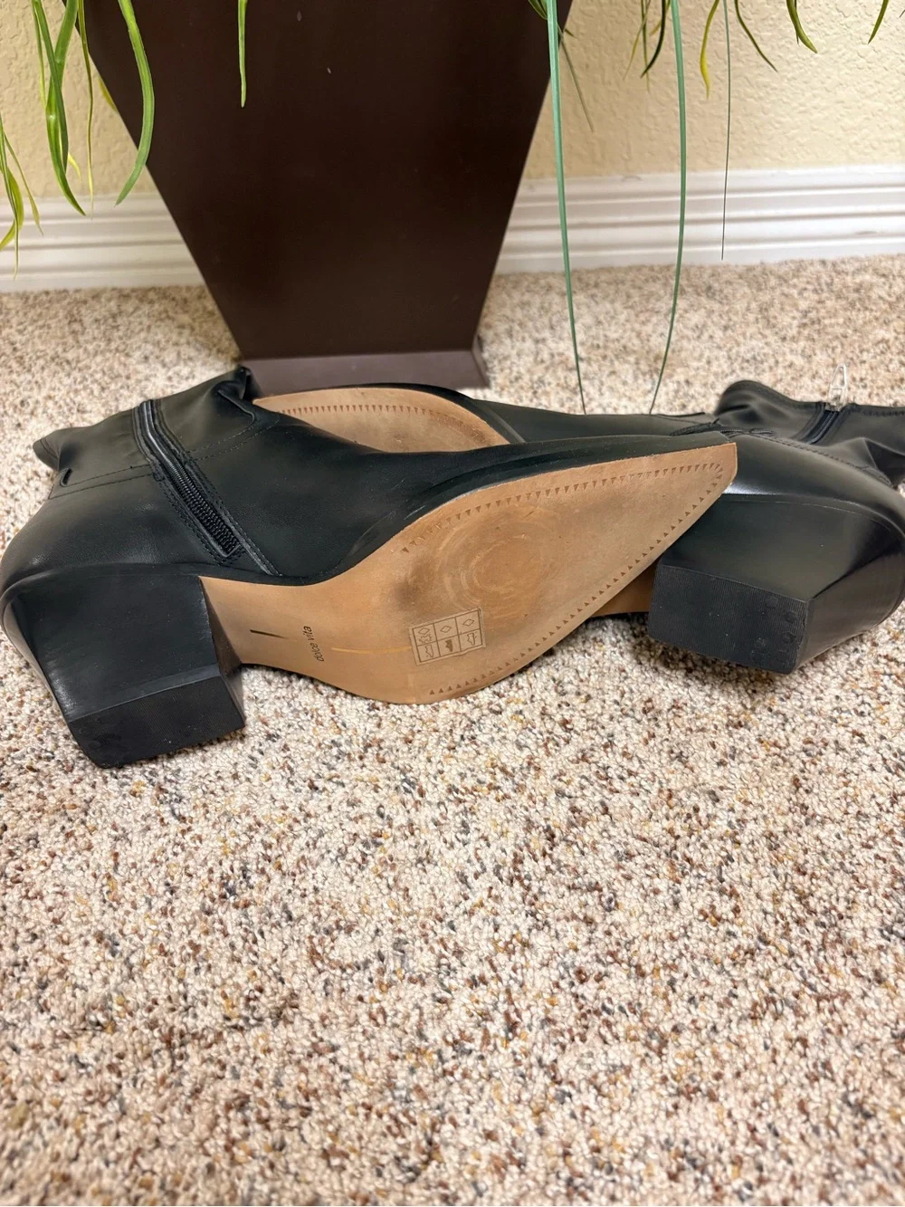 Dolce Vita Boots